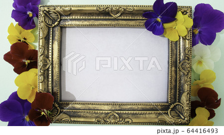 ビオラの花とアンティーク調フォトフレームの写真素材