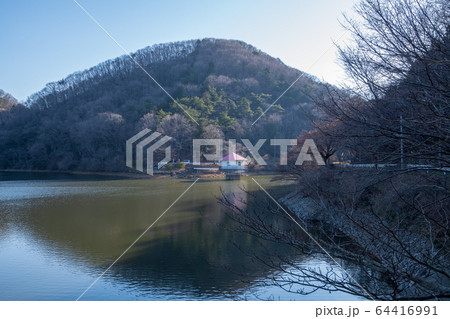 円良田湖　景色　埼玉県寄居町　 64416991