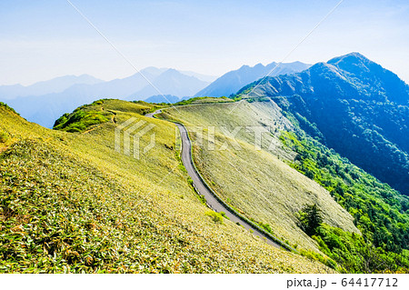 瓶ヶ森林道 64417712