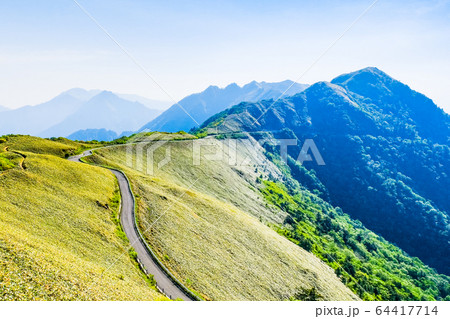 瓶ヶ森林道 瓶ヶ森林道 64417714