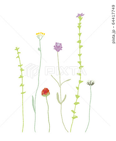 春の草花 春の草花 64417749