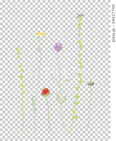 春の草花 春の草花 64417749