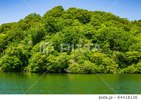 世界遺産白神山地の初夏 新緑の十二湖 落口の池 世界遺産白神山地の初夏 新緑の十二湖 落口の池 64418136