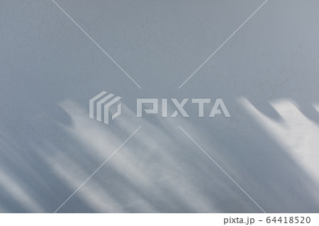 漆喰の壁に映る庇の瓦と木々の影 b コントラスト高め 漆喰の壁に映る庇の瓦と木々の影 b コントラスト高め 64418520