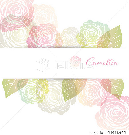 椿　背景 64418966