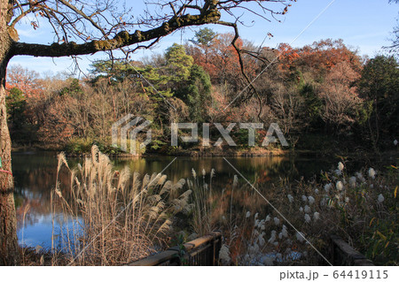 湖と自然 64419115