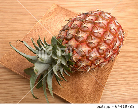 ピーチパイン ピーチパイン 64419738