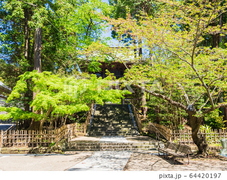 鎌倉 円覚寺 山門に続く石段 鎌倉 円覚寺 山門に続く石段 64420197