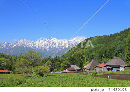 白馬村　青鬼の5月 64420198
