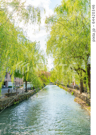 群馬県前橋 広瀬川河畔緑地の風景 64420346
