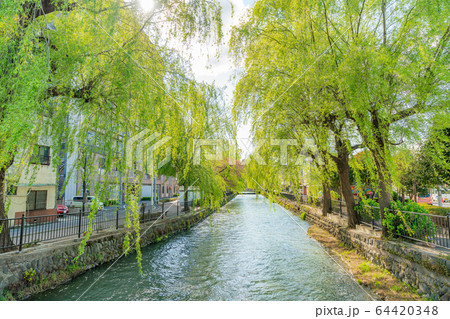 群馬県前橋 広瀬川河畔緑地の風景 群馬県前橋 広瀬川河畔緑地の風景 64420348