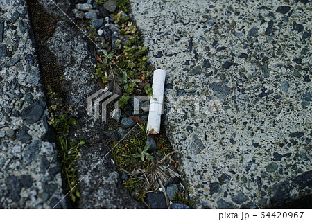タバコのポイ捨て 64420967