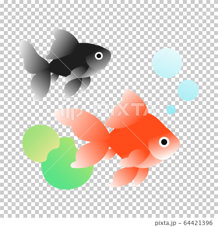 Goldfish - Stock Illustration [64421396] - PIXTA