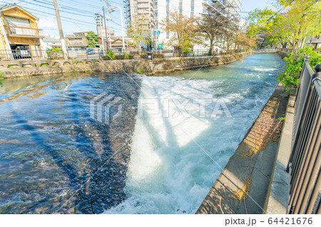 群馬県前橋 広瀬川河畔緑地の風景 64421676