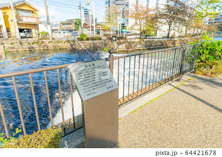 群馬県前橋 広瀬川河畔緑地の風景 群馬県前橋 広瀬川河畔緑地の風景 64421678