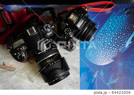 一眼レフとミラーレス 64422056