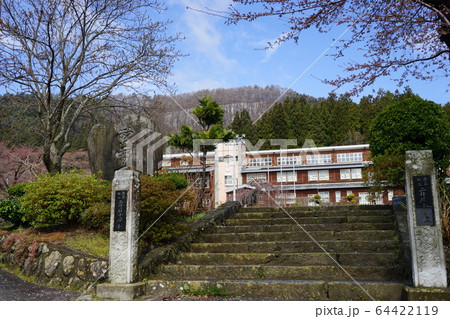 モリオカシダレが咲く二升石小学校 64422119