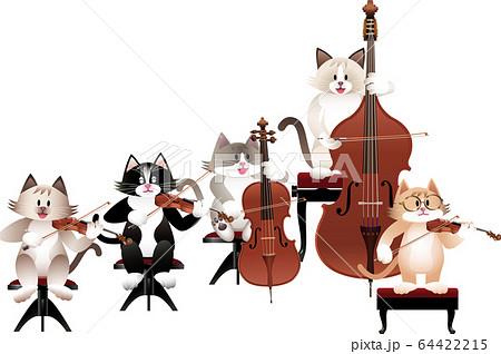 ネコと弦楽器 64422215