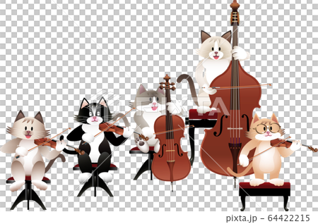 貓和弦樂器 64422215