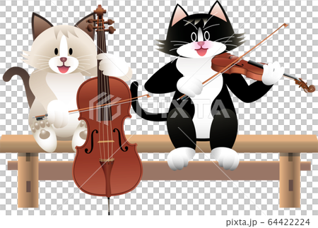 貓和弦樂器 64422224