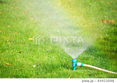 Water sprinkler spraying water on grass Water sprinkler spraying water on grass 64423098