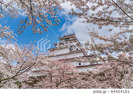 春の鶴ヶ城（若松城）　福島県会津若松市 64424101