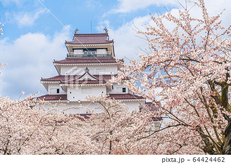 春の鶴ヶ城（若松城）　福島県会津若松市 64424462