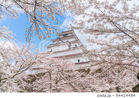 春の鶴ヶ城（若松城）　福島県会津若松市 64424484