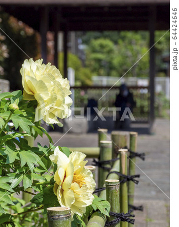 牡丹園・江東区 64424646