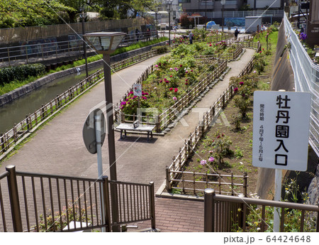 牡丹園・江東区 64424648