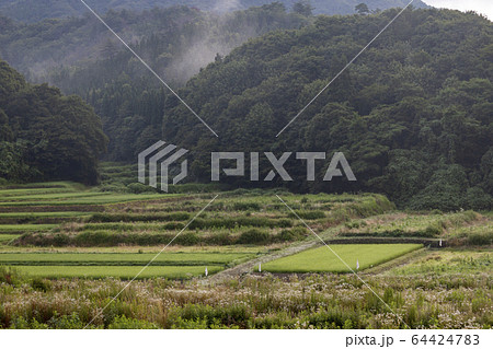 能登半島　田園風景 64424783