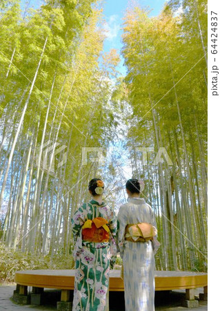 竹林の小径 竹林の小径 64424837