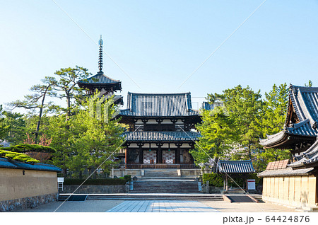 法隆寺 境内風景 中門と五重塔 (奈良県生駒郡斑鳩町) 法隆寺 境内風景 中門と五重塔 (奈良県生駒郡斑鳩町) 64424876
