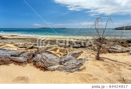 rocky beach in Madagascar, Antsiranana, Diego rocky beach in Madagascar, Antsiranana, Diego 64424917