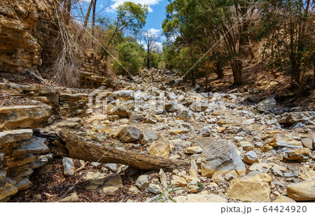 dry stone riverbed, Ankarana Madagascar, Africa 64424920