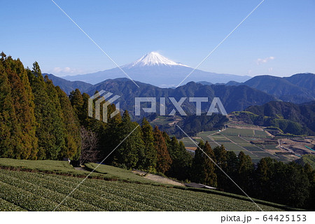 富士山と茶畑 64425153