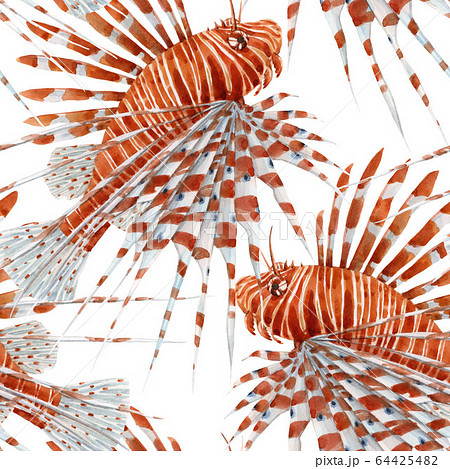 Beautiful seamless pattern with watercolor red lionfish. Stock illustration. 64425482
