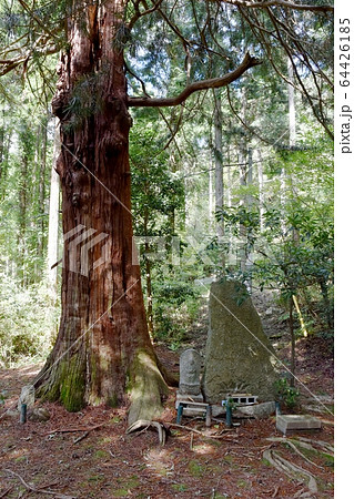 お牧の方の墓所 64426185