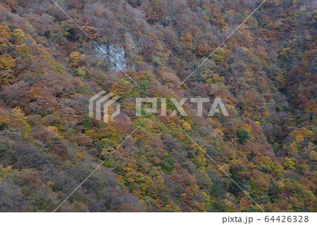 川治ダム　2019－11－17　　＃36 64426328