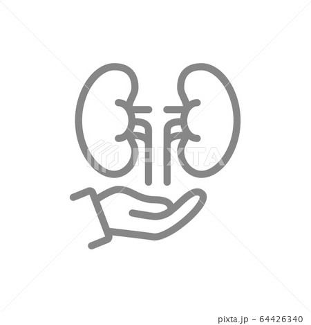 Kidneys on hand line icon. Human organ treatment, disease prevention symbol 64426340