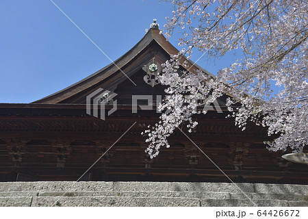 春の三井寺 金堂 春の三井寺 金堂 64426672