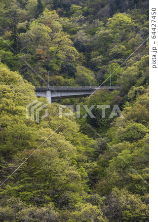 山の中を走る道 64427450