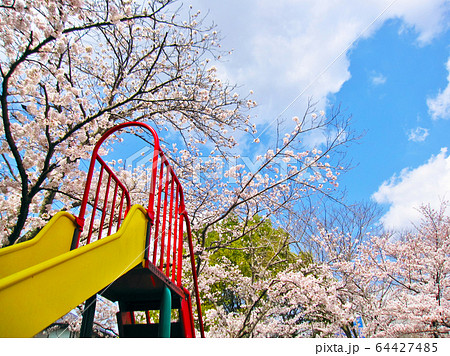 Cherry blossoms and slides　sakura　桜の木と滑り台 64427485