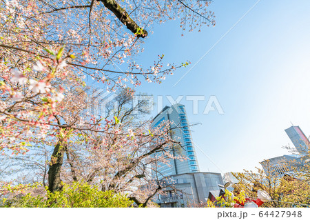 日本の春 高崎市役所と桜の風景 日本の春 高崎市役所と桜の風景 64427948