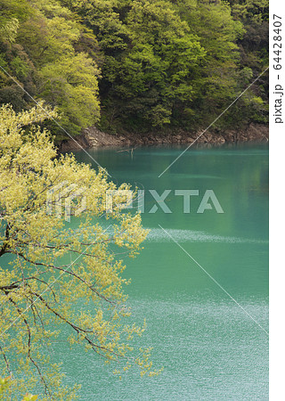 エメラルドグリーンの水と木々 64428407
