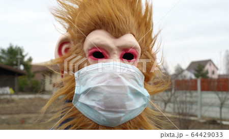 monkey in medical mask outdoors looking scared monkey in medical mask outdoors looking scared 64429033