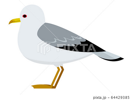 夏 カモメのイラスト素材