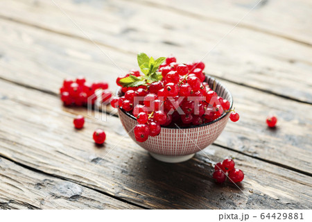 Fresh Red currant with mint 64429881