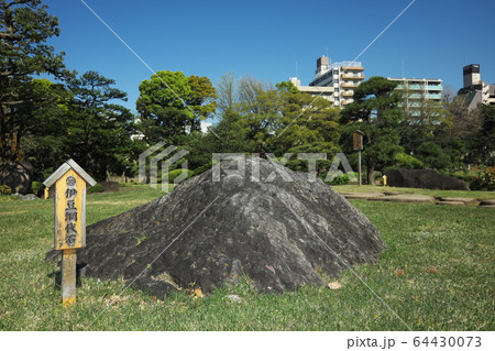 清澄庭園　伊豆網代石 64430073