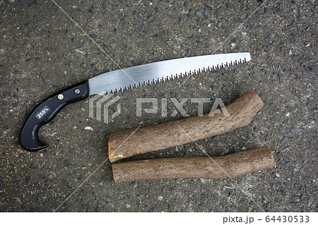 切ったミツバツツジの幹と鋸 64430533